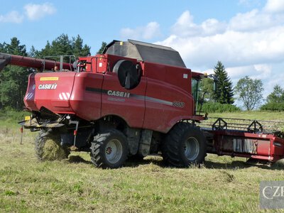 У Чехії очікують найнижчий урожай зерна за 14 років: що буде з цінами на продукти