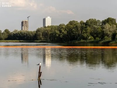 Після атаки РФ у Києві знову зафіксували забруднення озера Кирилівського