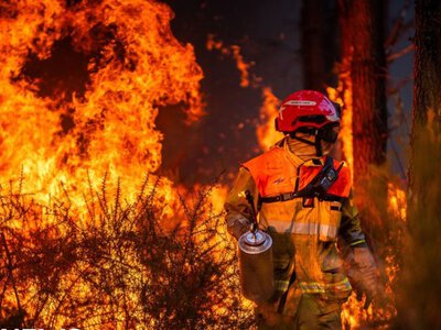 У Франції за лісові пожежі заарештували сотні людей