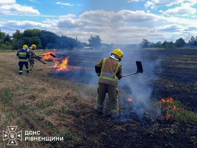 Протягом доби на Рівненщині трапилось 12 пожеж: згоріло 5 гектарів землі
