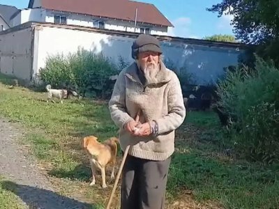 У Ковелі агресивний безхатько та зграя собак тероризують перехожих