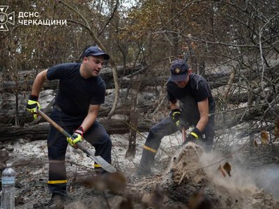 На території заповідника «Трахтемирів» ліквідовують наслідки пожежі