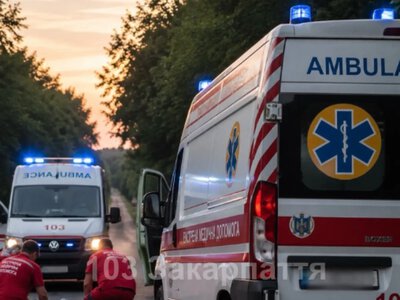 Ріг коровi поцілив у серце: на Тячівщині через зіткнення з худобою загинув байкер