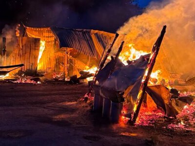 Пожежа у притулку під Києвом: вогонь знищив 20 вольєрів, загинули собаки