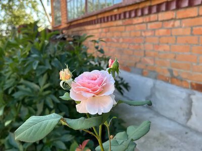 Прогноз погоди на Хмельниччині 10 серпня