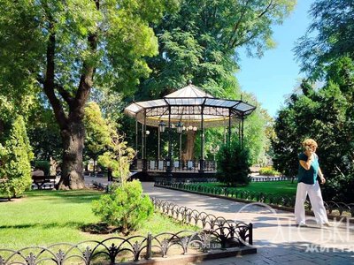 Літо триває: якою буде погода в Одесі та області 10 серпня