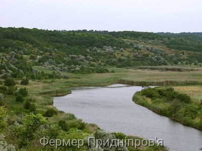 Погода у Придніпров'ї 10 серпня