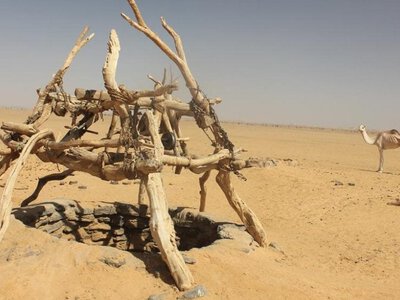 Під пісками Сахари виявили стародавні запаси води