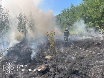На Рівненщині за добу вигоріло майже 4,5 гектара сухої рослинності