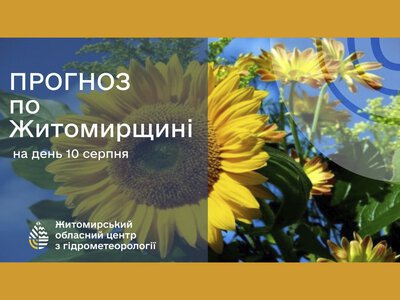 Погода сьогодні на Житомирщині