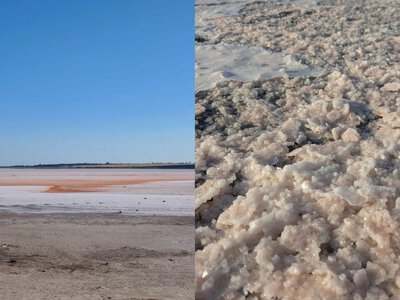 Вода відступає, а сіль стає рожевою: що зараз відбувається з озером Солонець-Тузли