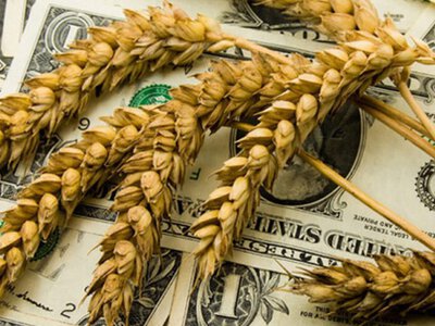 Україна нарощує імпорт агропродукції: що змінилося за пів року