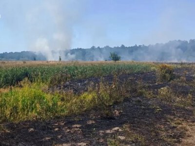 У селі Сокіл Луцького району гасили пожежу сухої трави