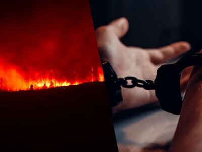 400 людей у Франції арештували через лісові пожежі: чи справді вони винні у підпалах
