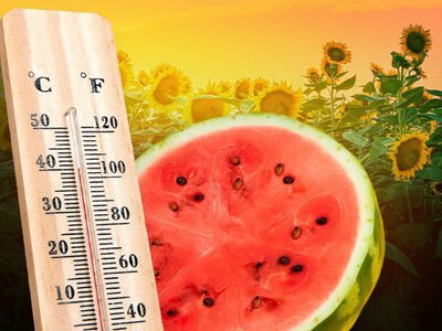 Спека чи дощі? Якою буде погода найближчими днями