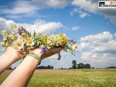 До +30° і гроза: якою буде погода на Житомирщині цього тижня