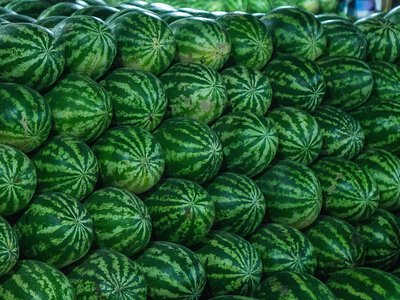 Кавуни та помідори очолили продажі, ціни на овочі борщового набору знижуються