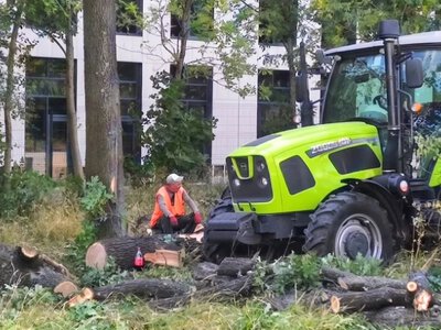 У Києві на Теремках після протестів призупинили вирубку дерев під теплотрасу: що кажуть у КМДА