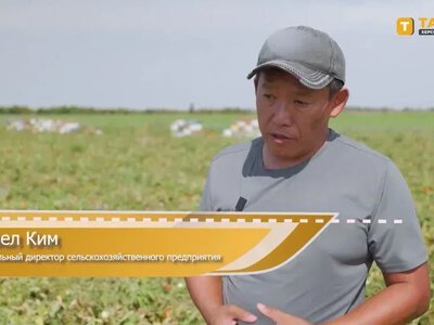 Окупанти створюють агрегатор агропродукції на Херсонщині на чолі з Павлом Кімом