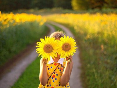 До 30° тепла: погода на Франківщині 11 серпня