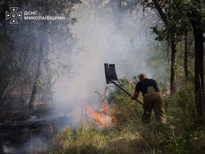 Пожежу у Дубках кілька годин гасили 25 рятувальників: причина займання встановлюється