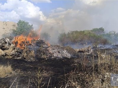 У Пльзені пожежа охопила близько 2 гектарів території колишніх казарм — оголосили другий ступінь тривоги