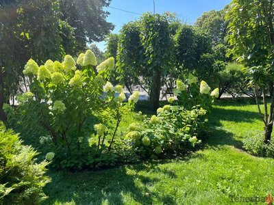 Після спеки на Полтавщині похолодає до +20°…+25°