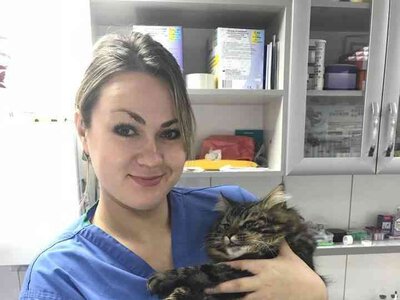 У веткабінеті “Центр” наголошують: вакцинація від сказу – простий крок, який може врятувати життя улюбленцю