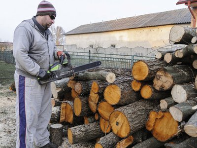 Нардеп закликав запасатися дровами для резервного опалення