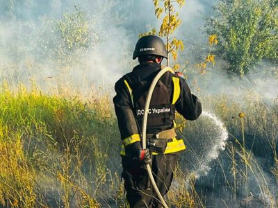 Через збиті безпілотники горіли поля та ліс