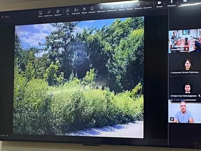 Амброзія під вікнами, а відповідального немає: у Кременчуці чиновники не можуть визначити, хто має косити міську землю