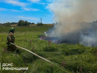 На Рівненщині рятувальники за добу 19 разів гасили пожежі сухої трави (ВІДЕО)