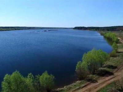 На Київщині зафіксували масовий мор риби