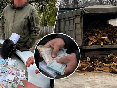На Одещині лісники платили керівникам по 300 тисяч щомісяця