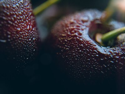 Черешня: користь, можлива шкода та 5 найкращих рецептів