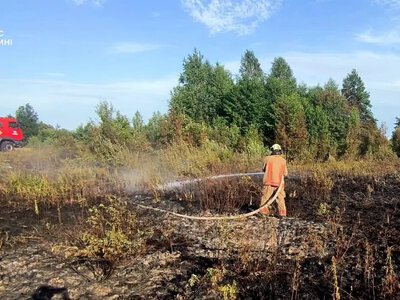 У Заболоттівській громаді рятувальники ліквідували масштабну пожежу сухостою