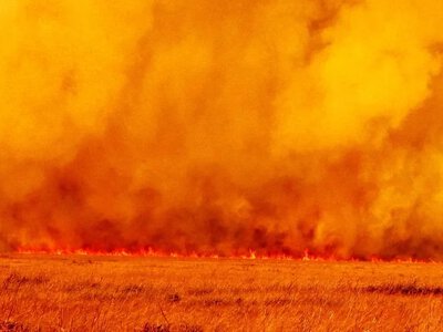 Асканія-Нова: майже 4000 гектарів згоріло, є проблеми з водою