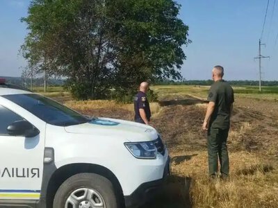 На Рівненщині екоінспектори оштрафували порушників за спалювання сухостою