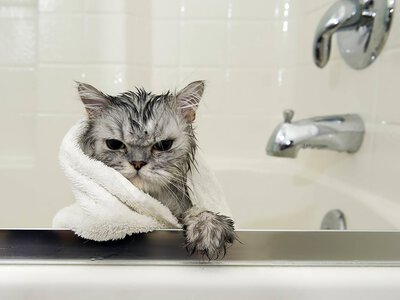 Кому з одеситів по дорозі додому доцільно прикупити води?