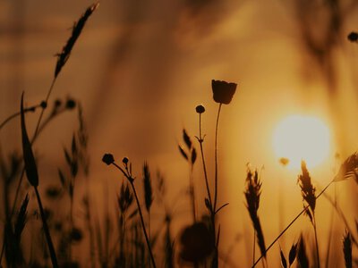 Від +21 до +33 градусів, подекуди дощ з грозами: якою буде погода в Україні 12 серпня