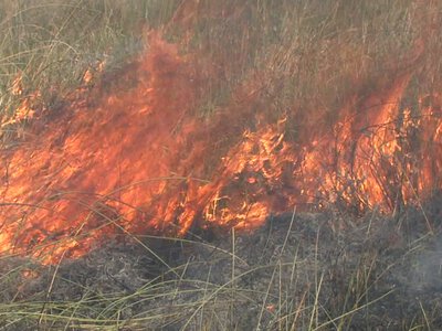 Палій попався на гарячому: на Волині за добу горіли 3 гектари сухої трави