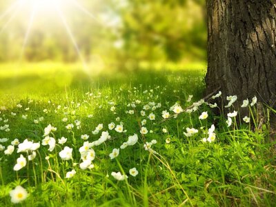 До 26° тепла: погода на Франківщині 12 серпня