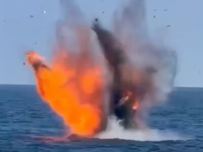 Румунія підірвала два російські дрони в Чорному морі (відео)