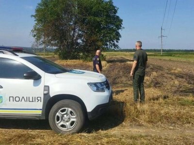 На Рівненщині під час рейдів виявили паліїв сухостою та відходів