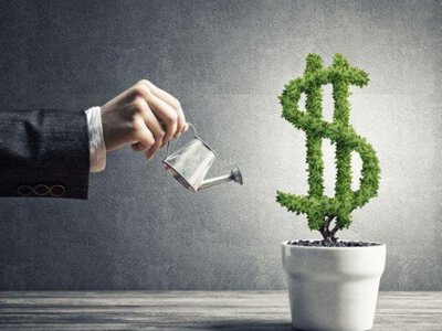 В Україні кількість інвесторів у цінні папери за чотири роки зросла майже у 12 разів