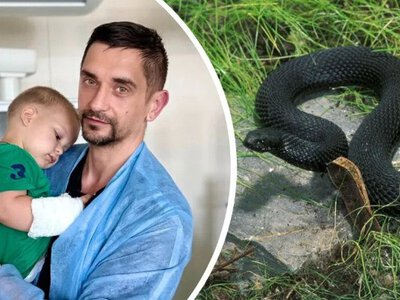 На Київщині змія вкусила дворічну дитину: рятувальні заходи в Охматдиті (фото)
