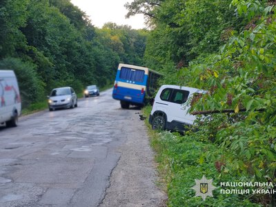 На Борщівщині рейсовий автобус потрапив у ДТП