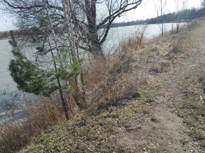 Біля озера Редькине в Києві землю віддали під забудову: прокуратура подала до суду