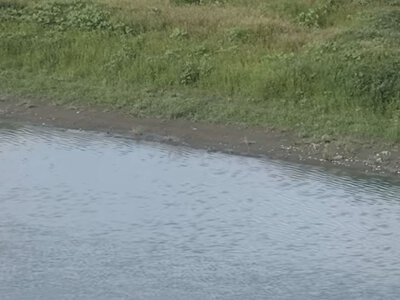 Під загрозою Хотин і Кам'янець-Подільський: одна з річок України аномально обміліла
