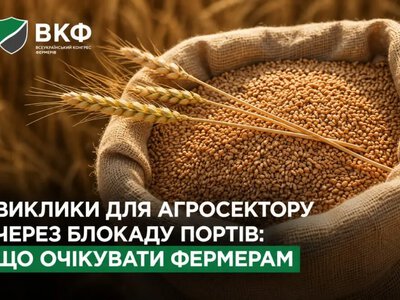 Експорт зерна: чому ситуація для фермерів стала критичною